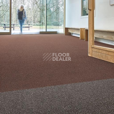 Forbo Coral Classic 4726 Auburn фото 2 | FLOORDEALER